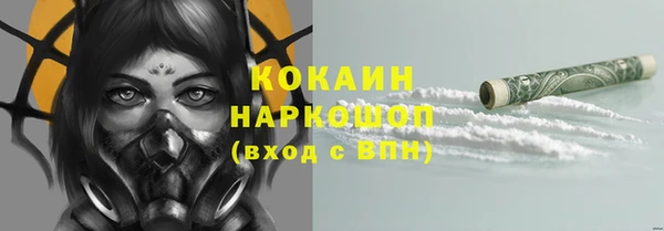 дживик Алзамай
