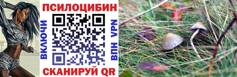 Галлюциногенные грибы прущие грибы закладки Камышин