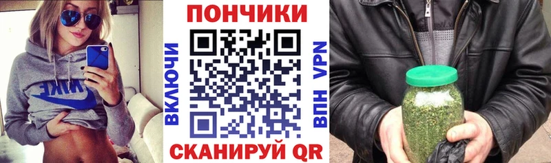 Шишки марихуана семена  Камышин 